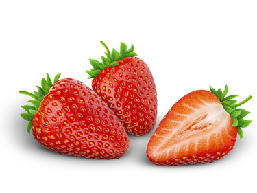 Decorative Separator